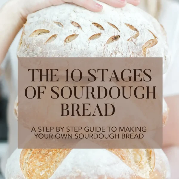 British Sourdough: The 10 Stages of making Sourdough Bread™ PDF