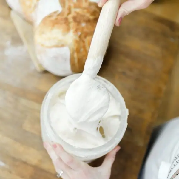 How to make a Sourdough Starter PDF