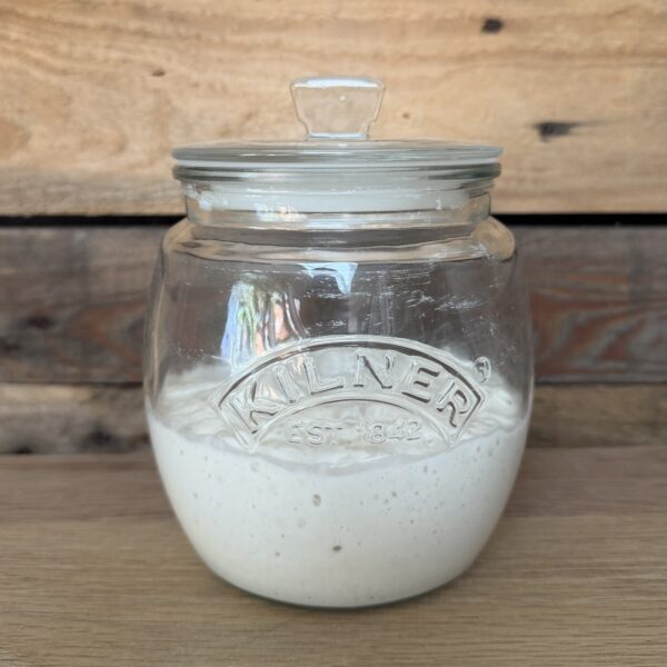 Fresh Sourdough Starter with FREE DEHYDRATED STARTER