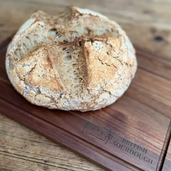 Gluten Free Sourdough PDF